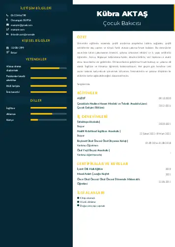Çocuk Bakıcısı CV Örnekleri cv indir